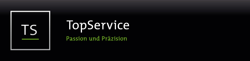 TopService